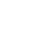 Southern Company